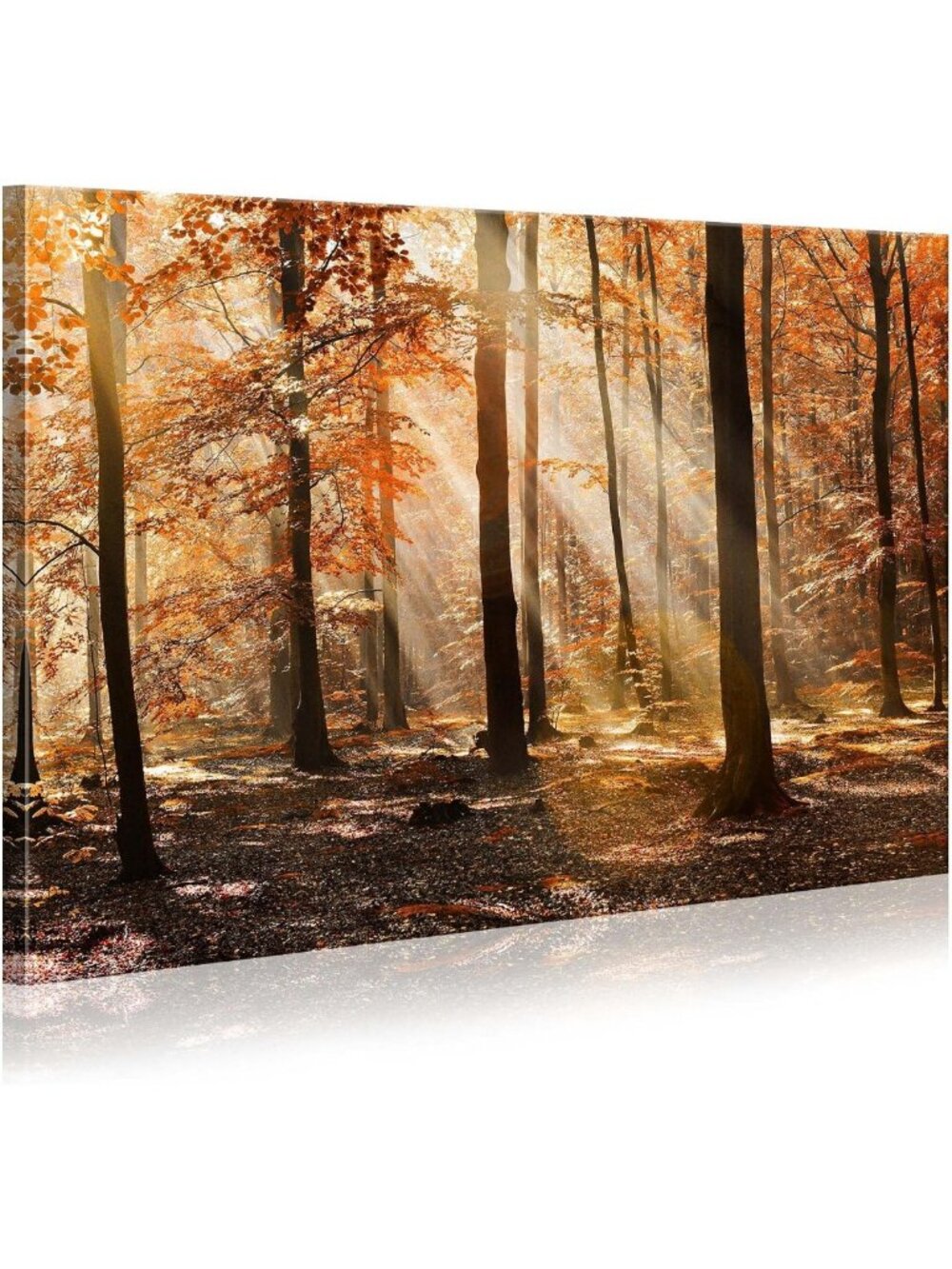 Large Autumn Forest Wall Art - Nature Decor for Living Room & Bedroom, 36x24
